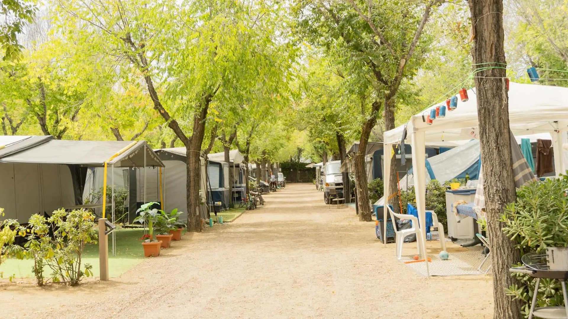 Campsite Camping Senia Caballo De Mar Pineda de Mar
